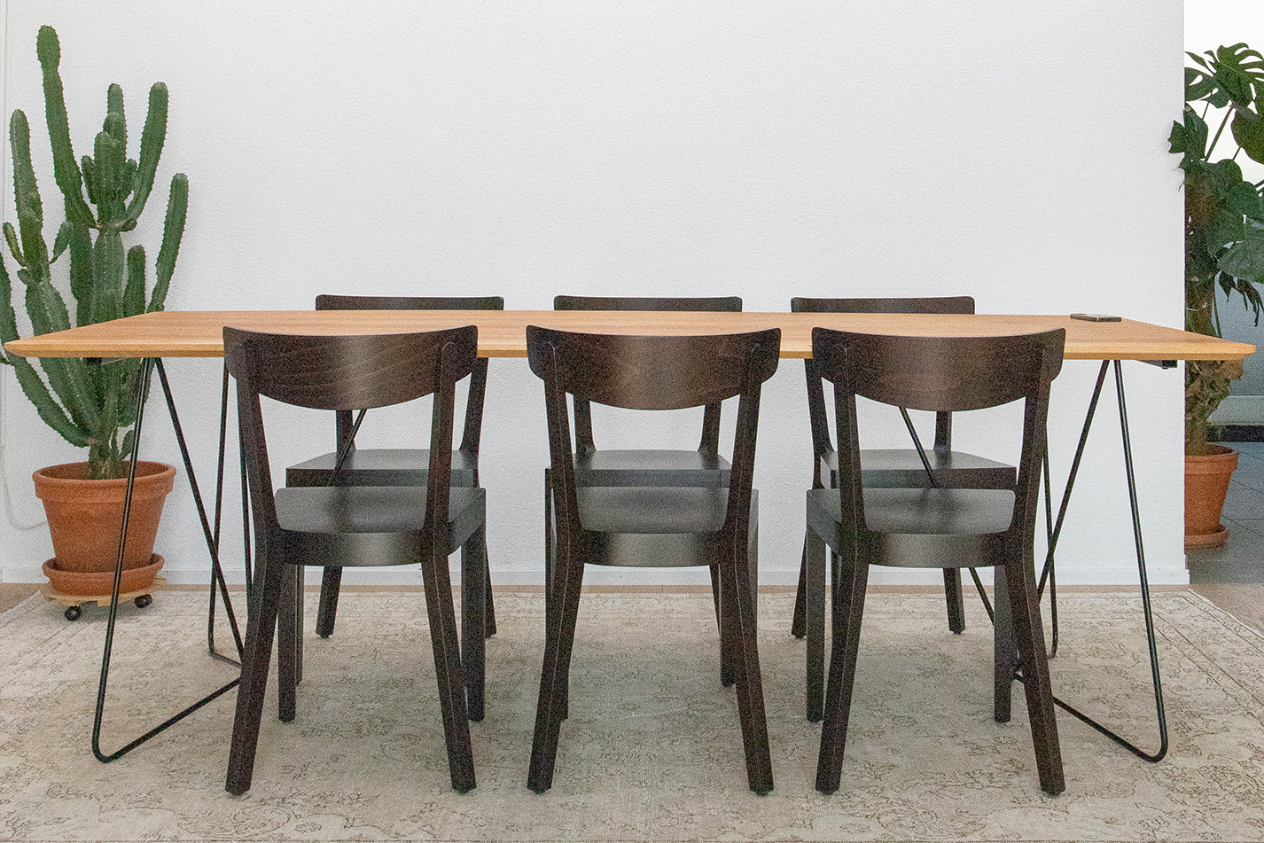 Walter Home Stories mit Maria Cólera