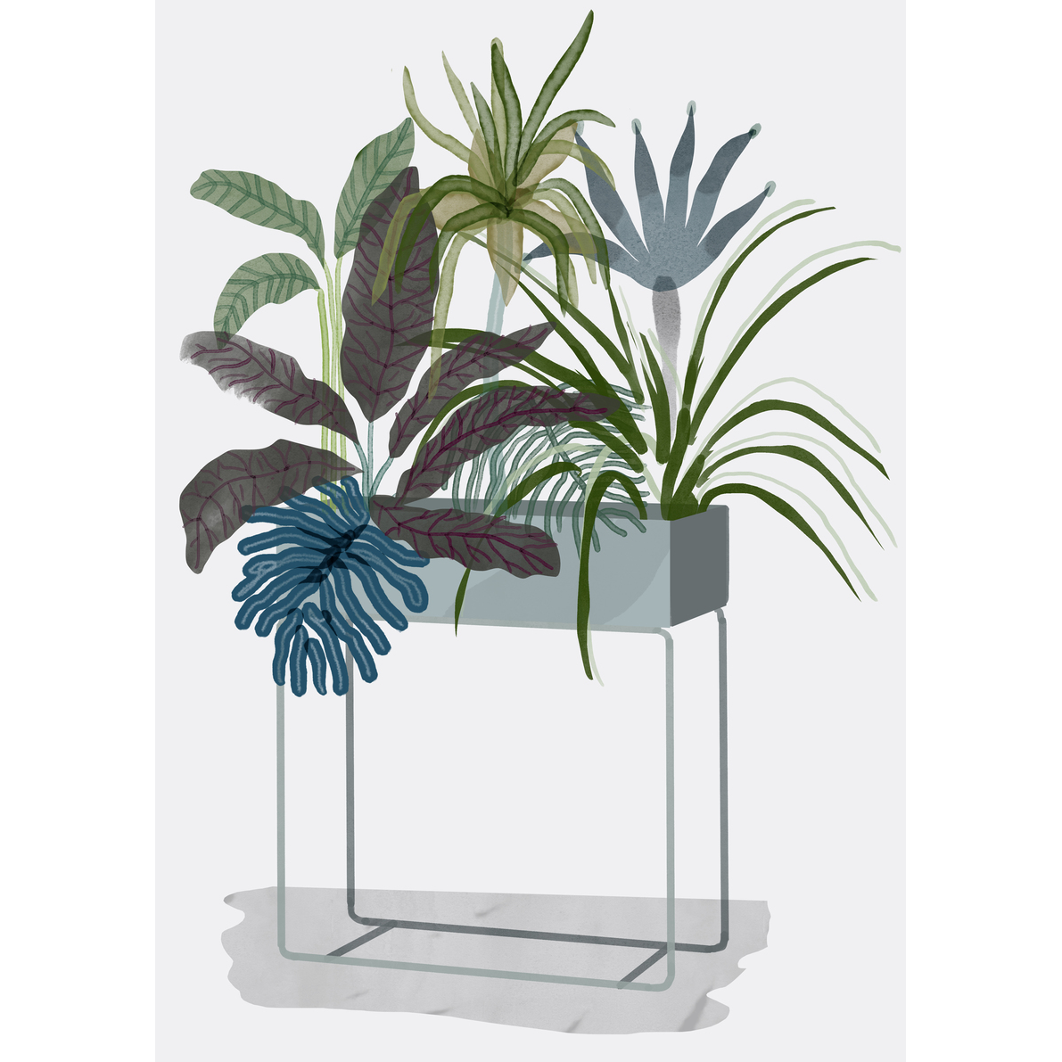 Plant raised bed