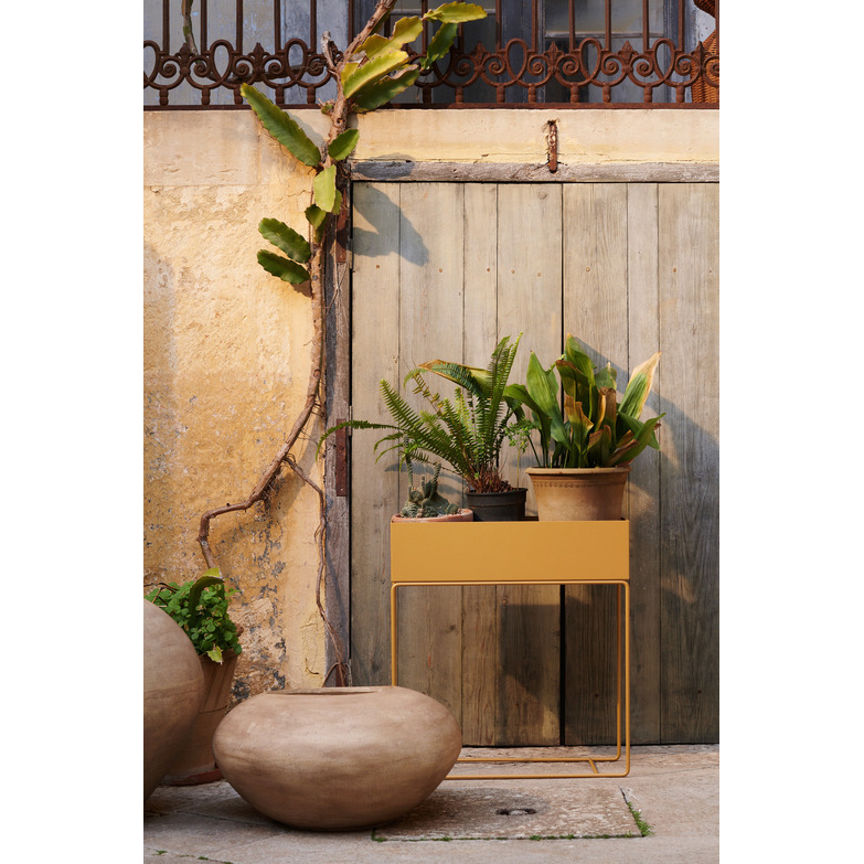 Plant raised bed
