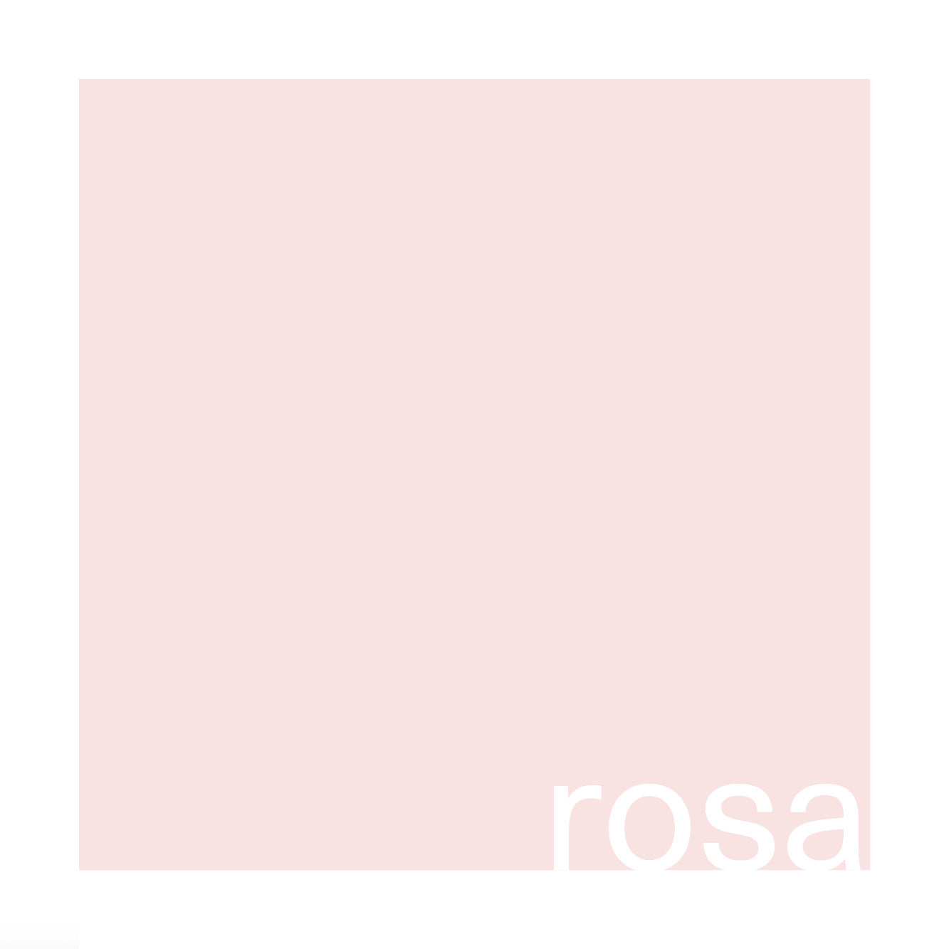 pasta plate Ø 25 cm