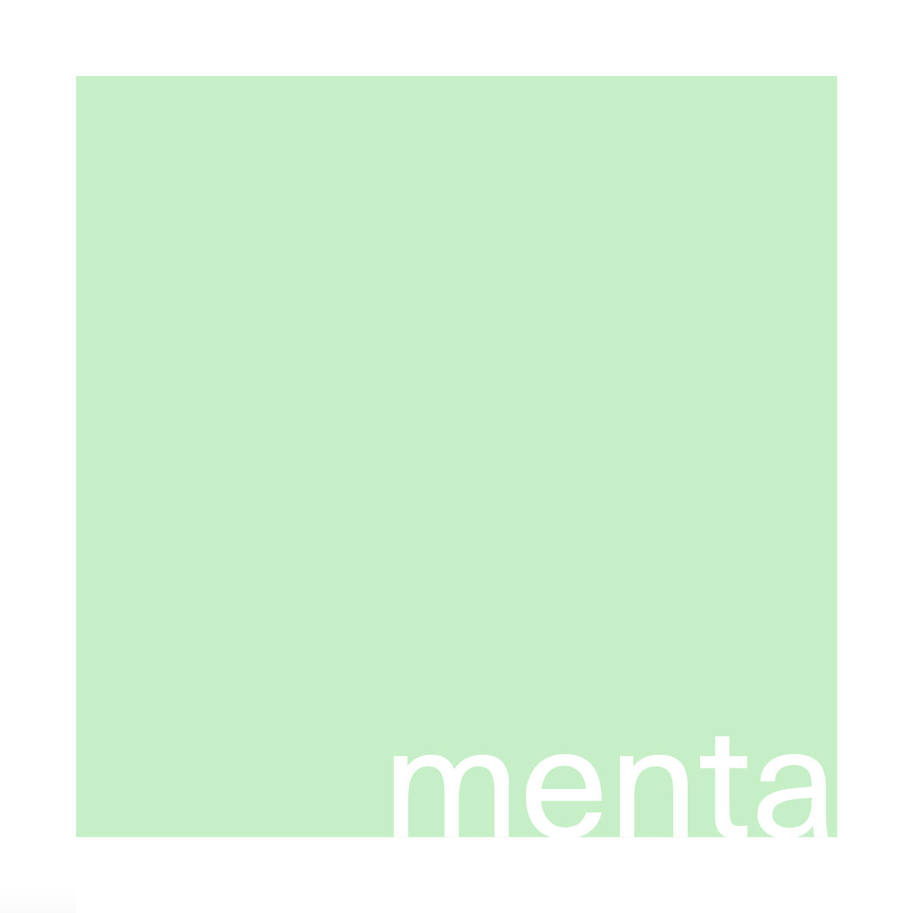 pasta plate Ø 25 cm