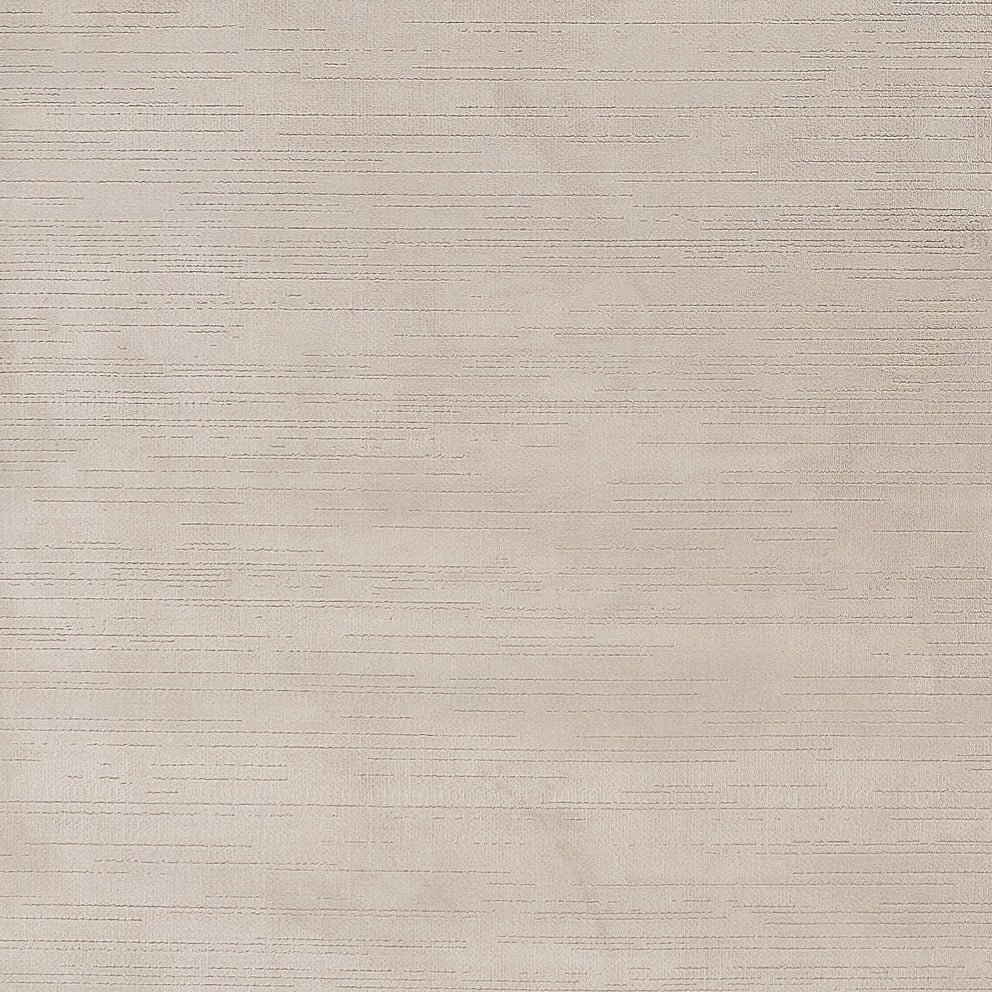 carpet B27